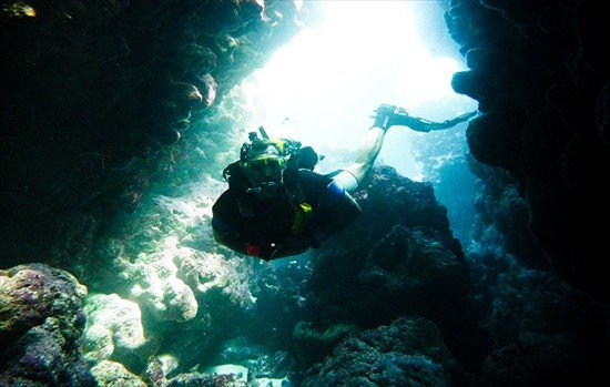 Dive Sites in Bavaro, Punta Cana : Explore the Best Dive Sites with us.