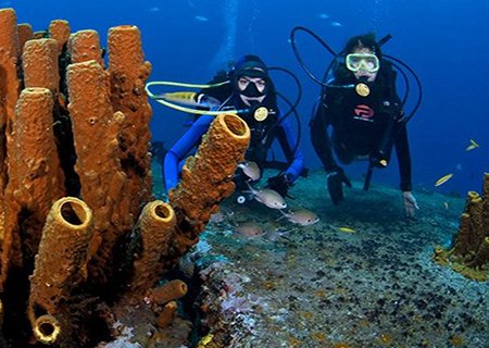 Diving + Snorkeling Excursions from Bavaro Punta Cana.